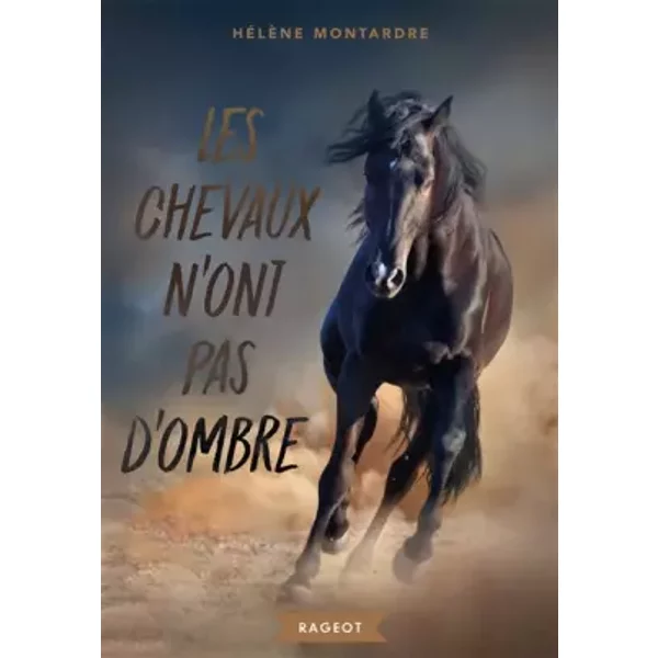 Les Chevaux N'ont Pas D'ombre - HéLèNe Montardre-image