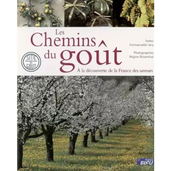 Les Chemins Du GoûT : A La DéCouverte De La France Des Saveurs - RéGine Rosenthal-image