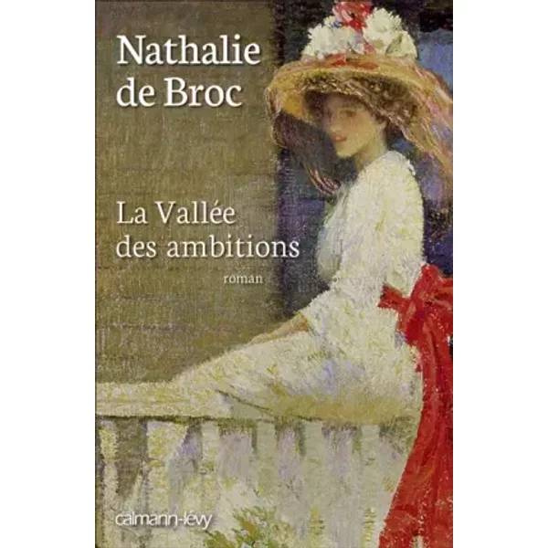 La ValléE Des Ambitions - Nathalie De Broc-image