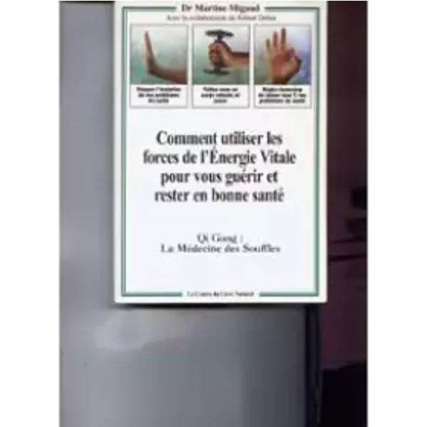 Qi gong : Comment utiliser les forces de l'énergie vitale pour vous guérir et rester en bonne santé - Martine Migaud, Robert Dehin
