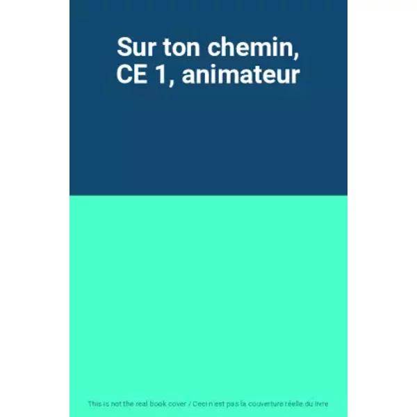 Sur Ton Chemin, Ce 1, Animateur-image