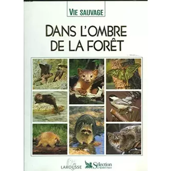 Dans l'ombre de la forêt - COLLECTIF
