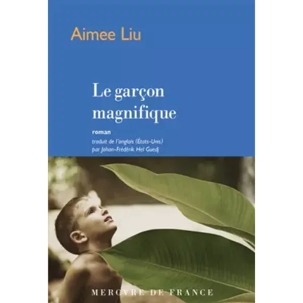 Le GarçOn Magnifique - Aimee Liu Et Johan-FréDéRik Hel Guedj-image