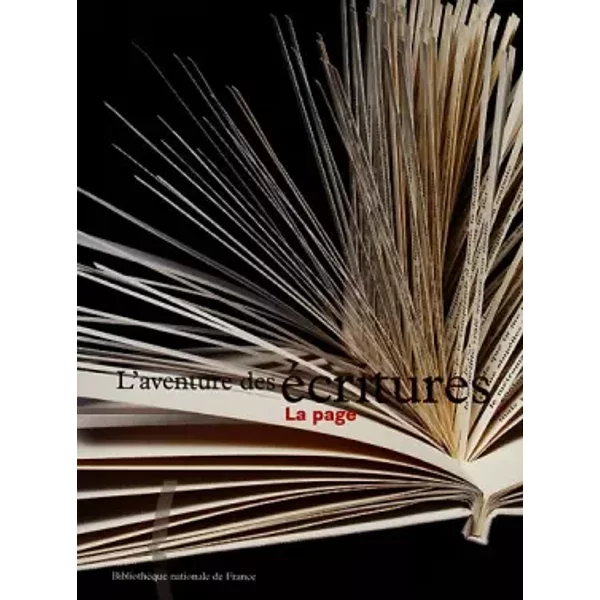 L'Aventure des écritures 3 : La page - Anne Zali