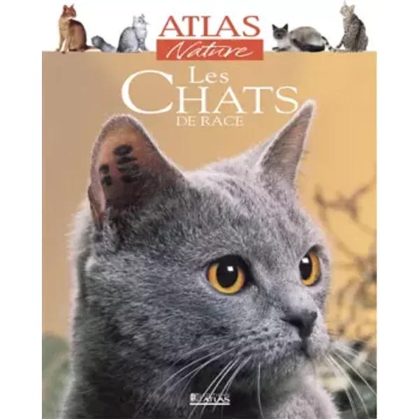 Les Chats De Race - Collectif-image