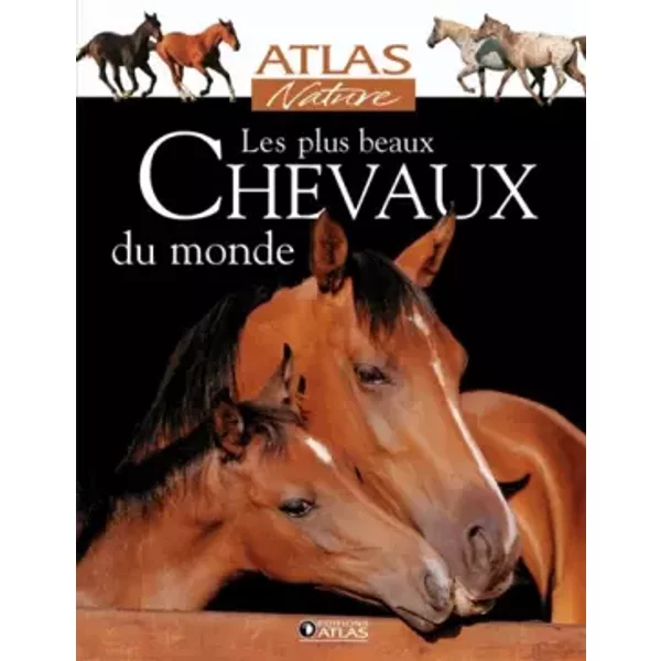 Les Plus Beaux Chevaux Du Monde - GléNat-image
