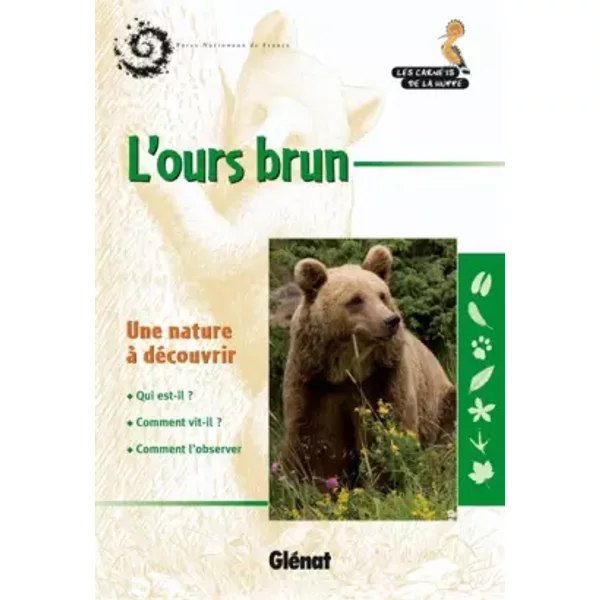 L'ours brun - Gérard Caussimont