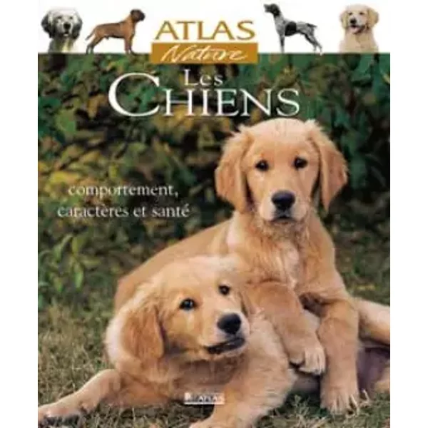Les Chiens. Comportement, CaractèRes Et Santé - Collectif-image