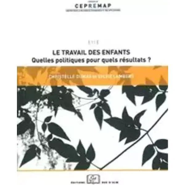 Le travail des enfants : Quelles politiques pour quels résultats ? - Christelle Dumas, Sylvie Lambert