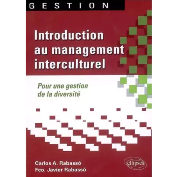 Introduction Au Management Interculturel. Pour Une Gestion De La Diversité - Rabasso Carlos, Rabasso Javier-image