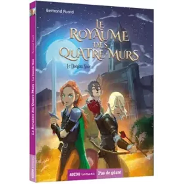 LE Royaume DES QUATRE-MURS Tome 1 - LE Donjon Noir - Bertrand Puard, Nicolas ValléE-image