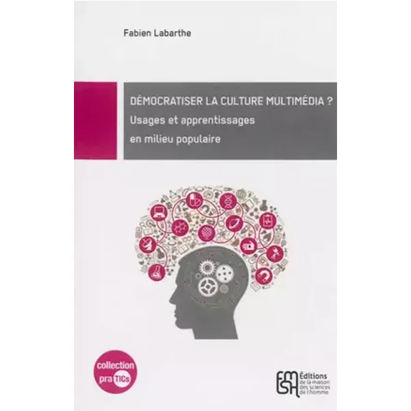 Démocratiser la culture multimédia ? : Usages et apprentissages en milieu populaire - Fabien Labarthe