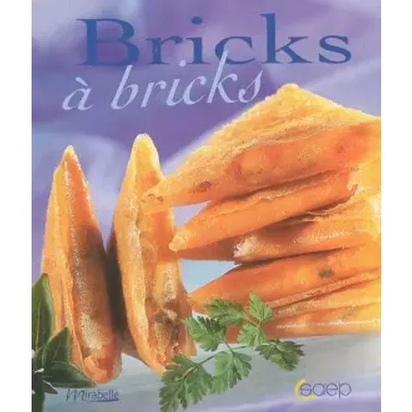 Bricks à Bricks - Johanna Lucchini, ValéRie Walter Et Jean-Luc Syren-image