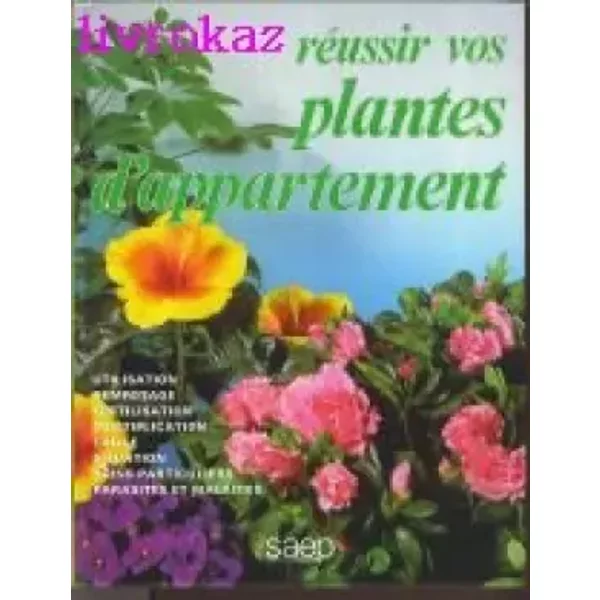 RéUssir Vos Plantes D'appartement-image