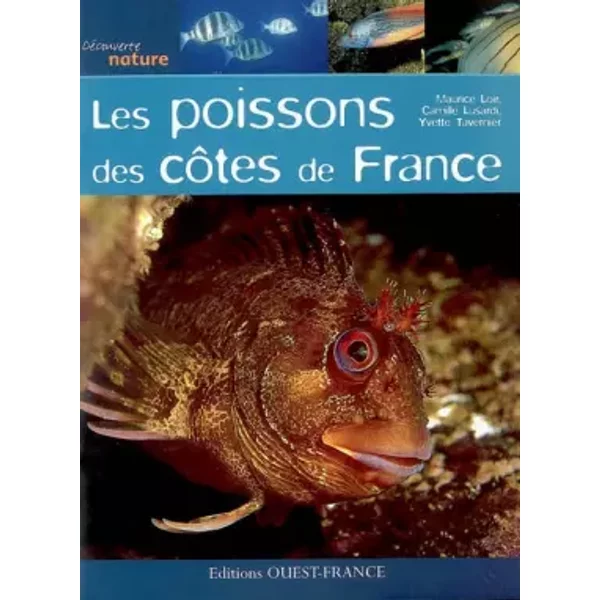 Les Poissons Des CôTes De France - Maurice Loir-image