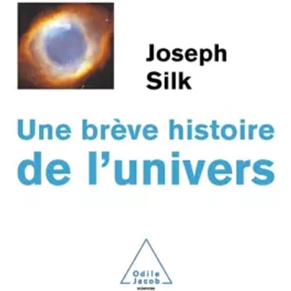 Une BrèVe Histoire De L'univers - Joseph Silk-image