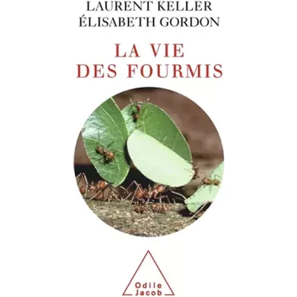 La Vie Des Fourmis - Laurent Keller, Elisabeth Gordon-image