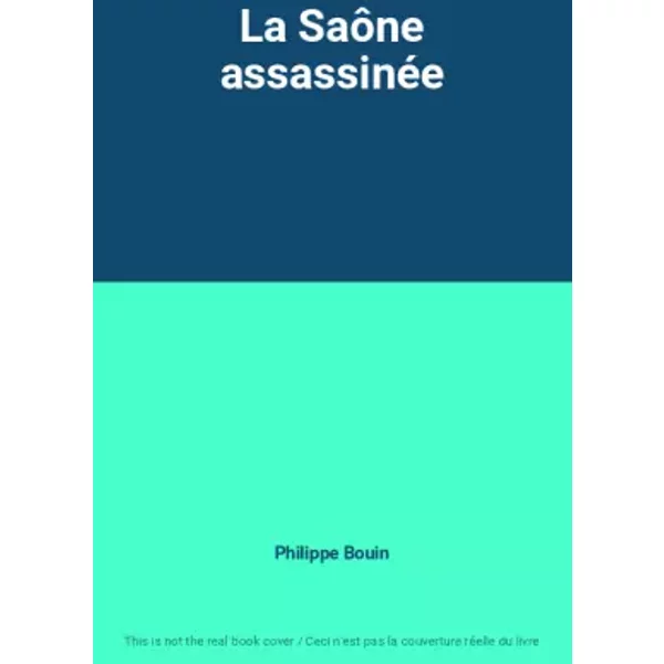 La Saône assassinée - Philippe Bouin