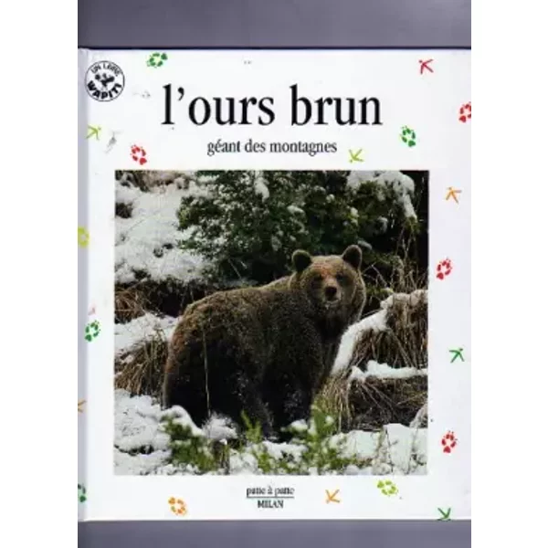 L'ours Brun, GéAnt Des Montagnes - ValéRie Tracqui-image