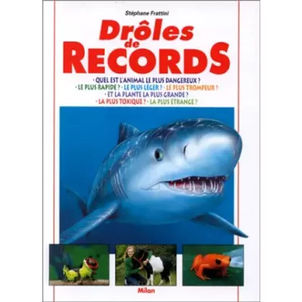 DrôLes De Records - StéPhane Frattini-image