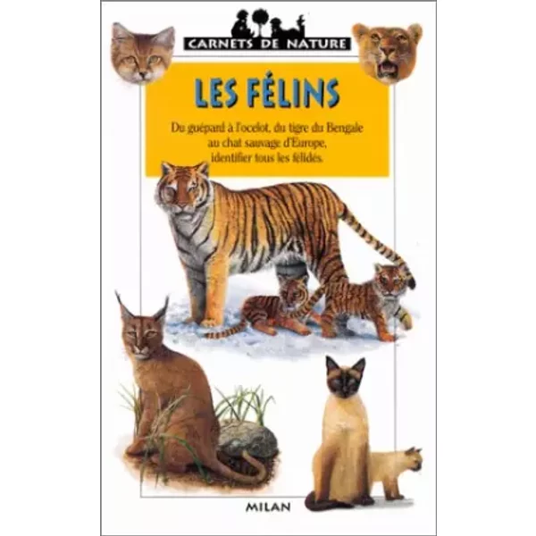 Les FéLins - StéPhane Frattini, BenoîT Charles-image
