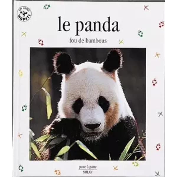 Le Panda : Fou De Bambous - ValéRie Tracqui-image