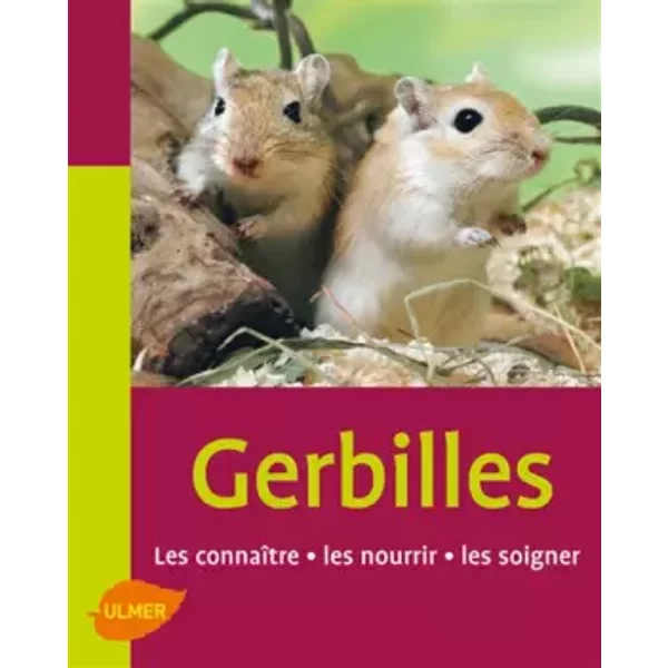 Les Gerbilles. Les ConnaîTre, Les Nourrir, Les Soigner - Heike Schmidt-Roger-image
