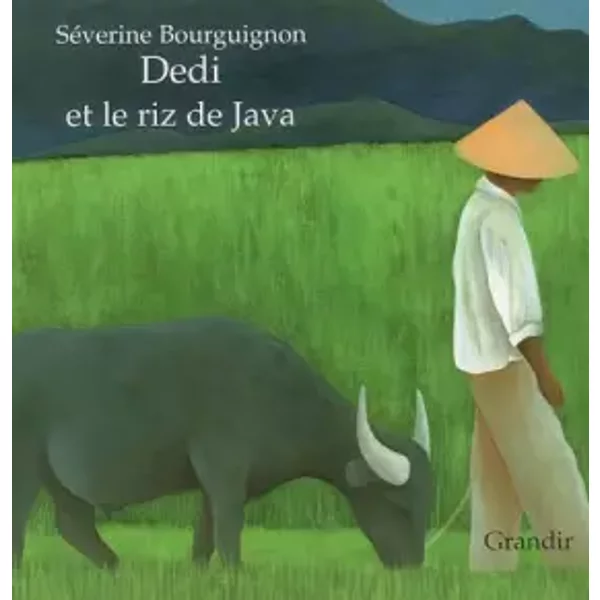Dedi et le riz de Java - Séverine Bourguignon