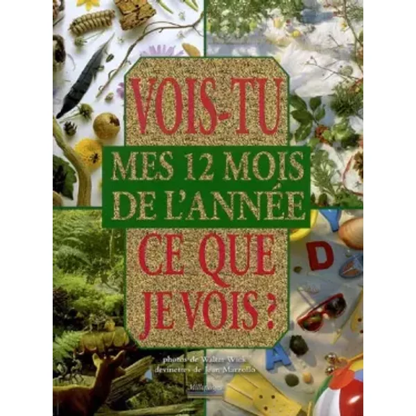 Vois tu ce que je vois ? : Mes 12 mois de l'année - Walter Wick, Jean Marzollo