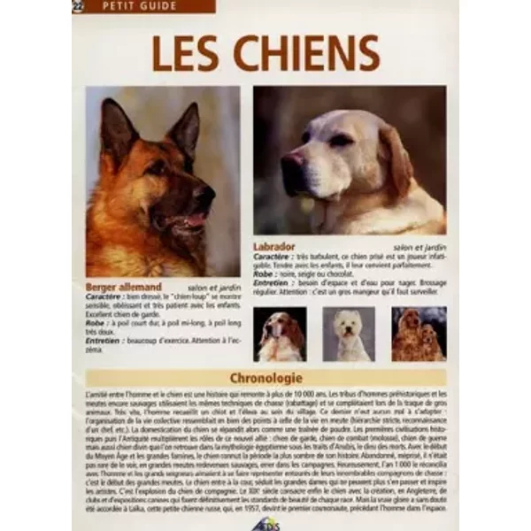 PG022 - Les Chiens - Collectif-image