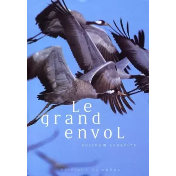 Le Grand Envol - Guilhem Lesaffre-image