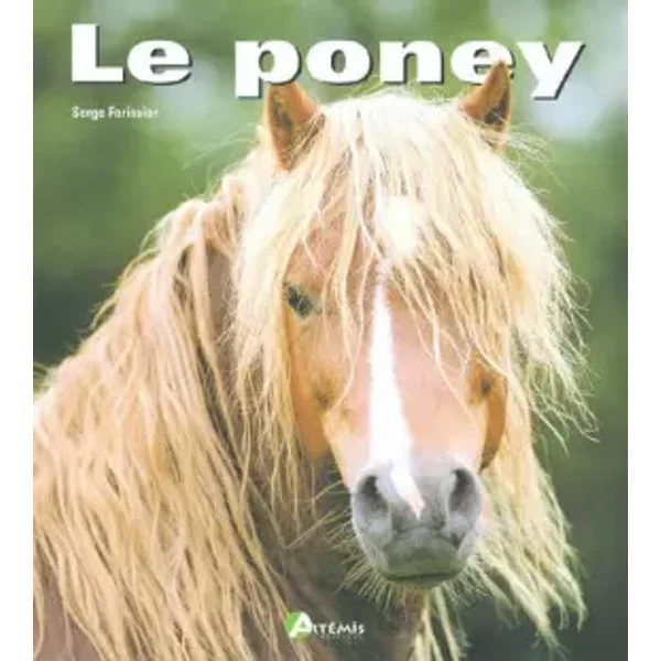 Le Poney - Collectif-image