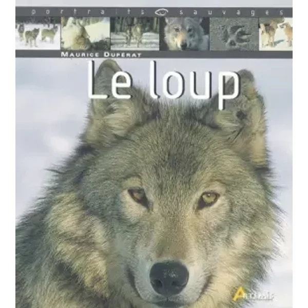 Le Loup - Maurice DupéRat, Hervé Chaumeton Et Jean Arbeille-image