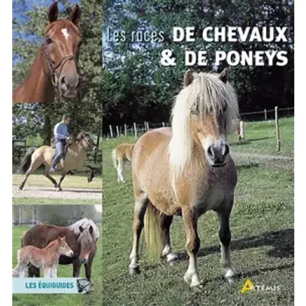 RACES DE CHEVAUX ET PONEYS - Isabelle Bernard, Myriam Corn, Pierre Miriski, Françoise Racic, Losange