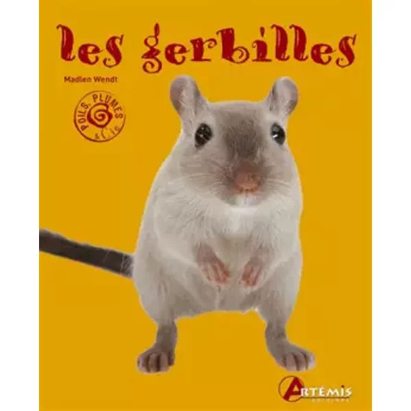Les Gerbilles - Collectif-image