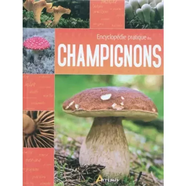 Encyclopédie pratique des champignons - Jean-Marie Polese