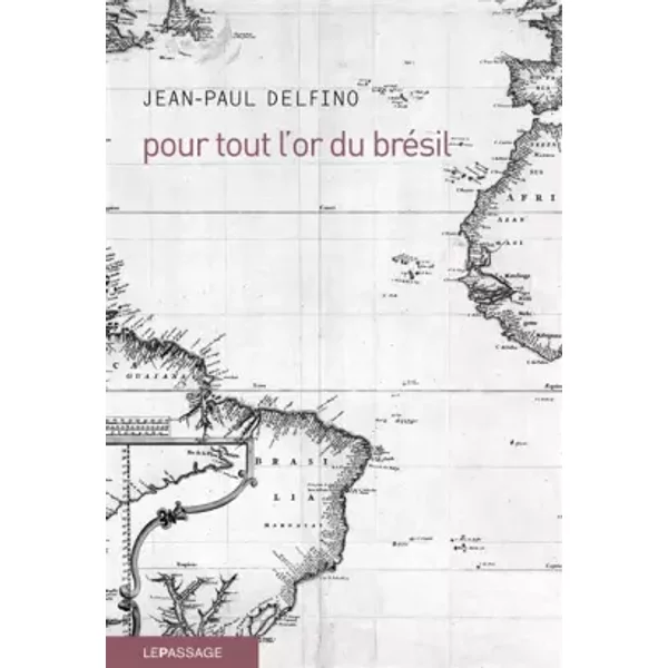 Pour Tout L'or Du BréSil - Jean-Paul Delfino-image