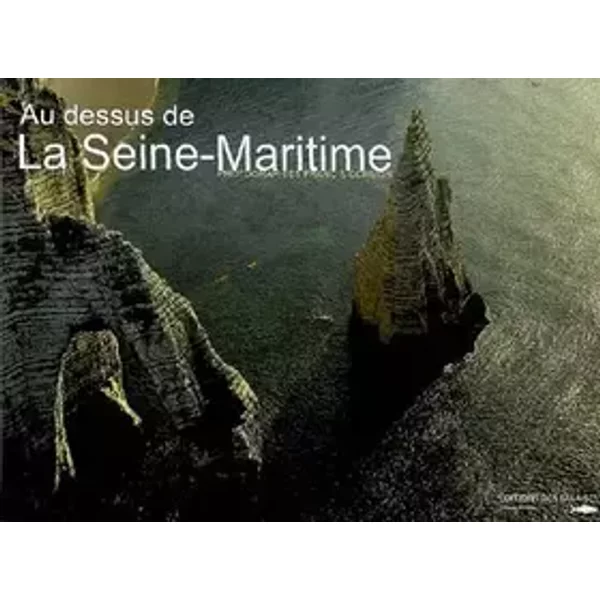 Au Dessus de la Seine Maritime - Francis Cormon
