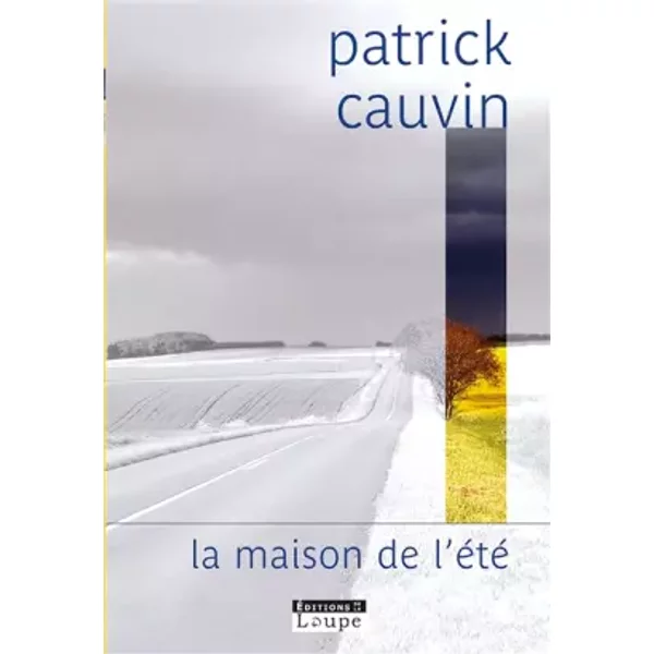 la Maison de L'éTé (Grands CaractèRes) - Patrick Cauvin-image