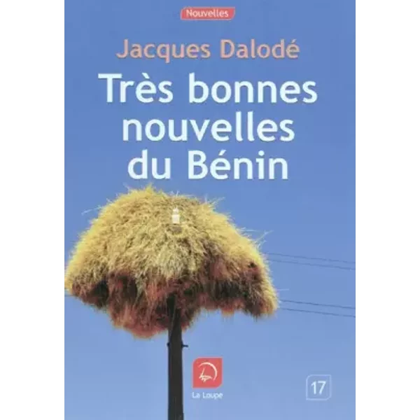 Très bonnes nouvelles du Bénin - Jacques Dalodé