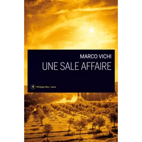 Une sale affaire - Marco Vichi