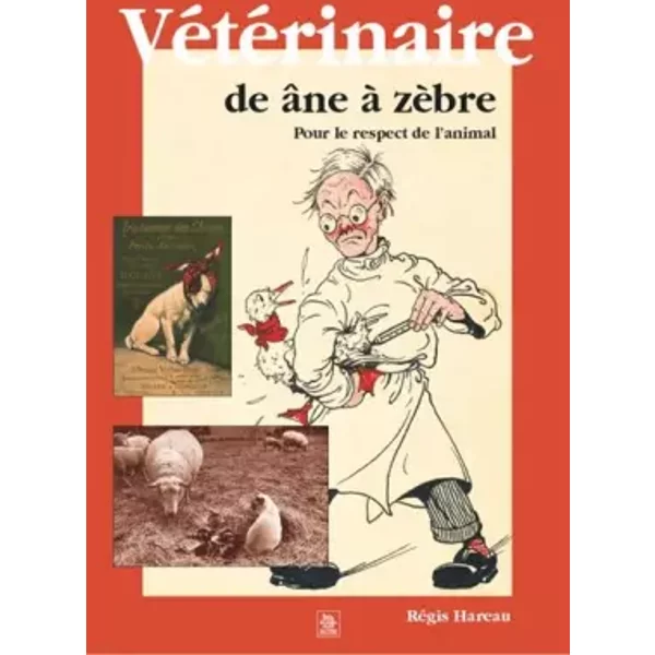 Vétérinaire de âne à zèbre - Sébastien Chever Régis Hareau