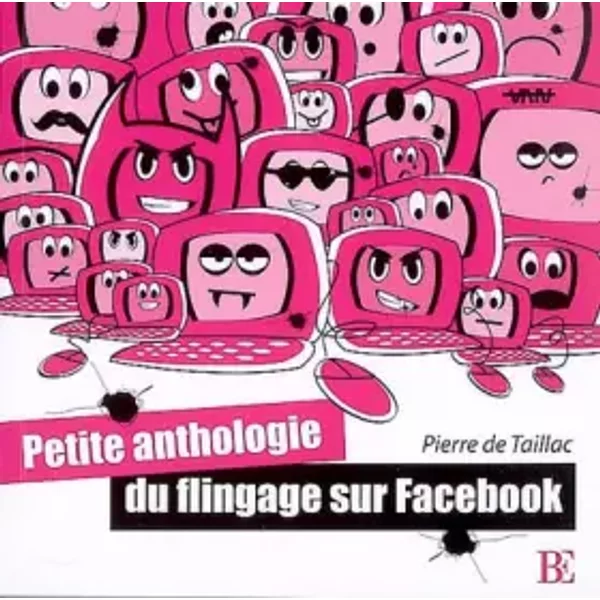 Petite Anthologie Du Flingage Sur Facebook - Pierre De Taillac-image