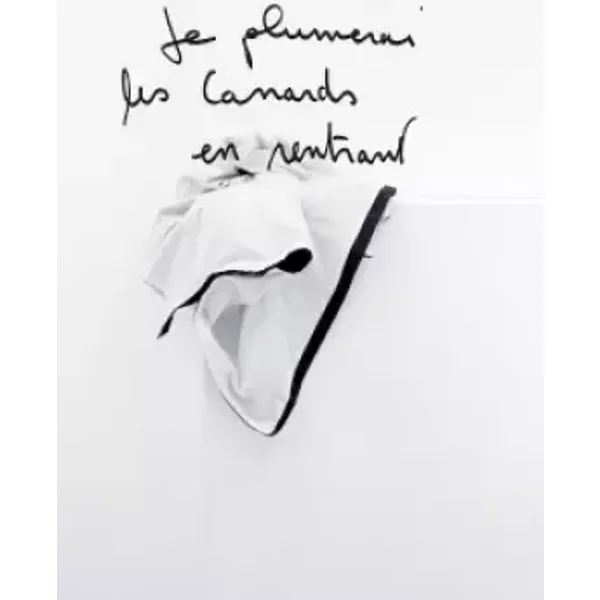 Je plumerai les canards en rentrant - Eric Poitevin, Jean-Christophe Bailly