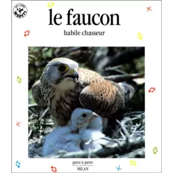 Le Faucon : Habile Chasseur - Nicolas Van Ingen Et Jean-FrançOis Hellio-image