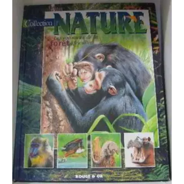 Les Animaux De La ForêT Africaine - Collectif-image