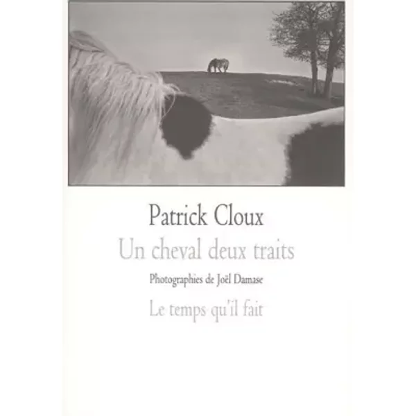 Un cheval deux traits - Patrick Cloux, Joël Damase