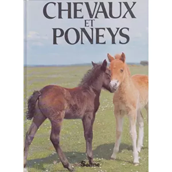 Chevaux Et Poneys - Collectif-image