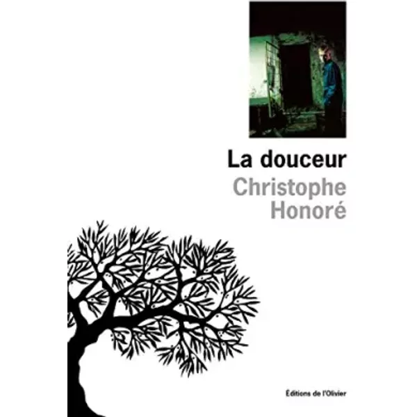 La Douceur - Christophe Honoré-image