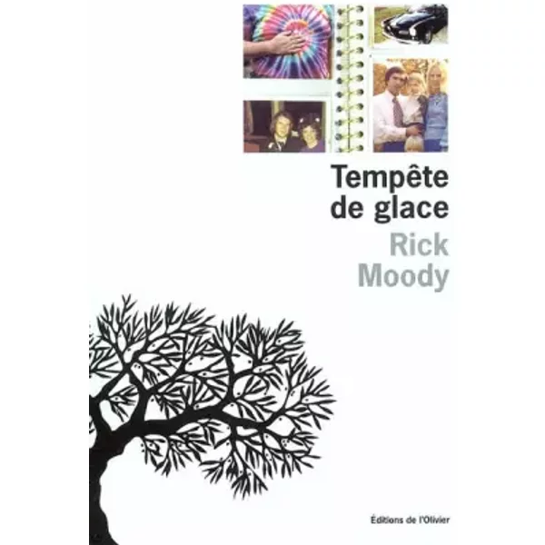 TempêTe De Glace - Rick Moody, Michel Lederer-image
